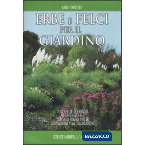 Erbe e felci per il giardino