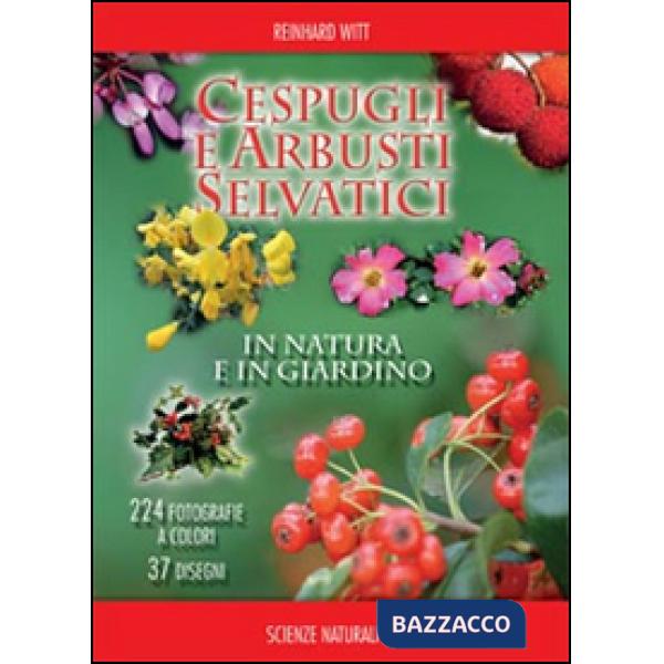 Cespugli e arbusti selvatici in natura e in giardino