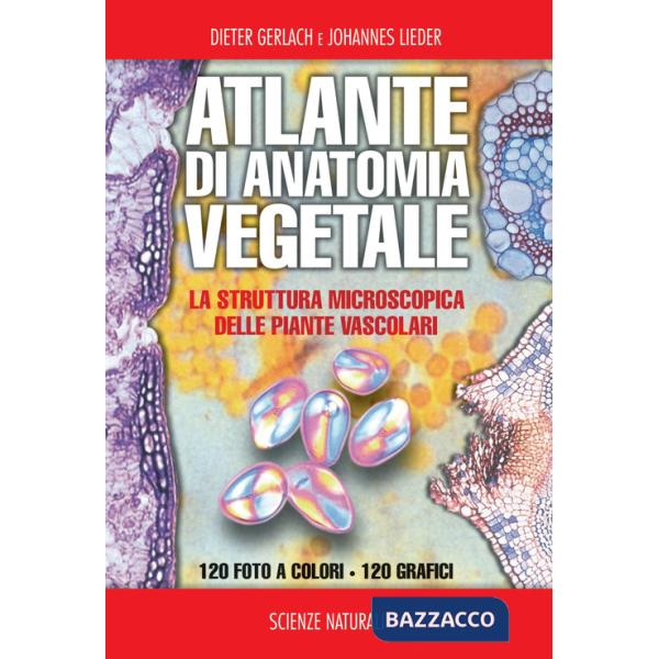 Atlante di anatomia vegetale