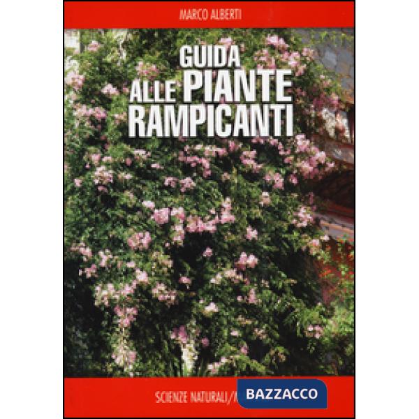 Guida alle piante rampicanti
