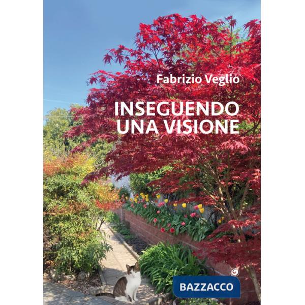 Inseguendo una visione