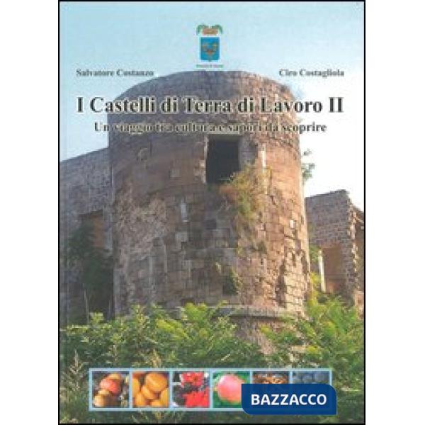 Castelli di Terra di Lavoro 2. Un viaggio tra cultura e sapori da scoprire. Ediz. illustrata (I)