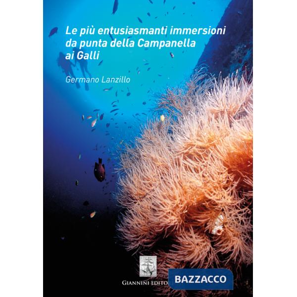 Più entusiasmanti immersioni da punta della Campanella ai Galli (Le)