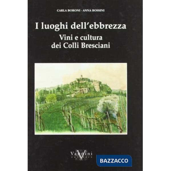 Luoghi dell'ebrezza. Vini e cultura dei colli bresciani (I)