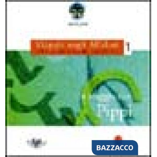 In viaggio con Pippi