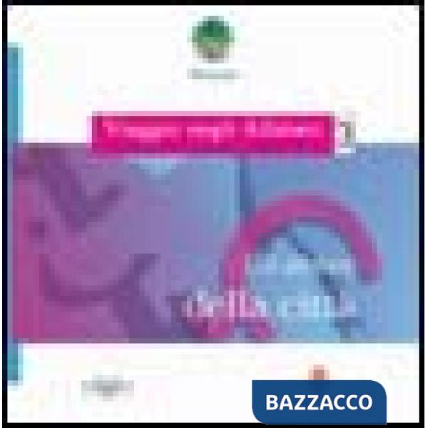 Viaggio negli alfabeti. Gli alfabeti delle città