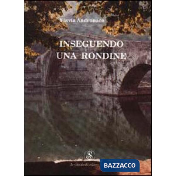 Inseguendo una rondine