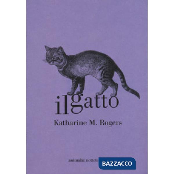 Gatto (Il)