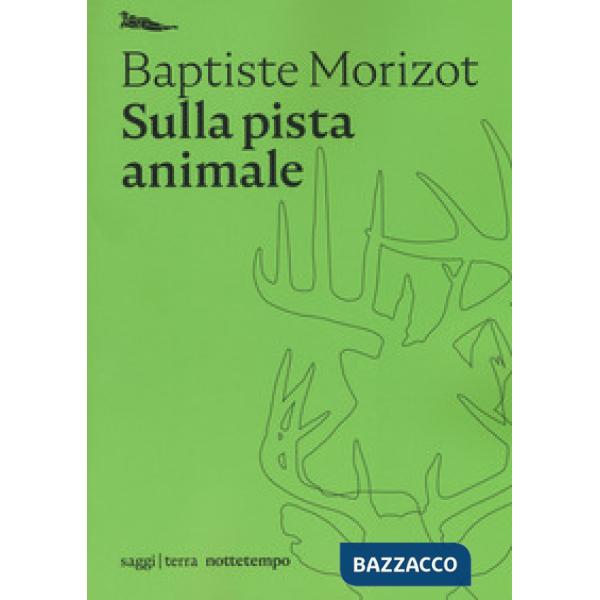 Sulla pista animale