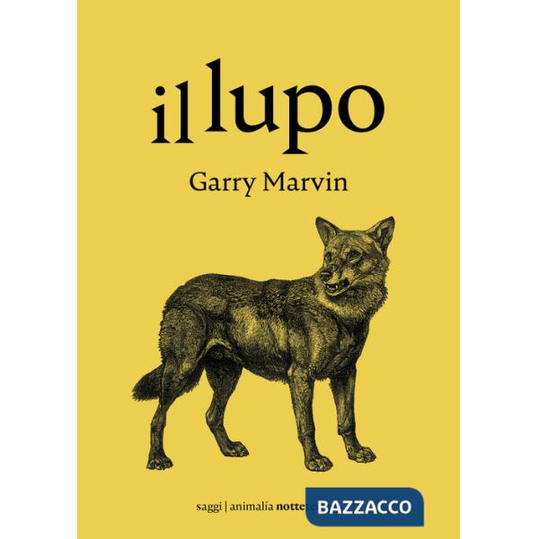 Lupo (Il)