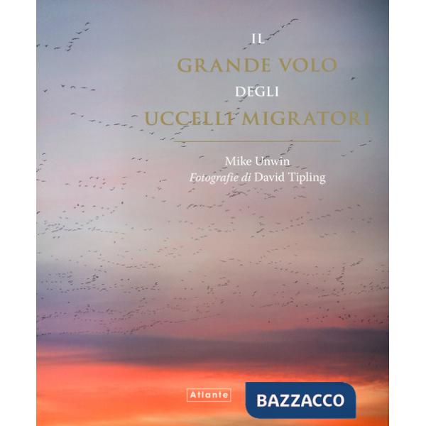 Grande volo degli uccelli migratori (Il)