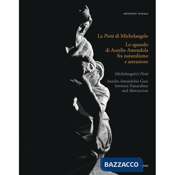 Pietà di Michelangelo. Lo sguardo d'Aurelio Amendola fra naturalismo e astrazione. Catalogo della mostra (Firenze, 8 settembre 2