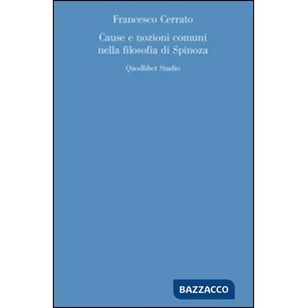 Cause e nozioni comuni nella filosofia di Spinoza