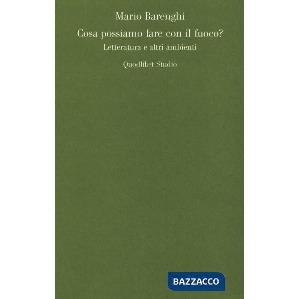 Cosa possiamo fare con il fuoco? Letteratura e altri ambienti