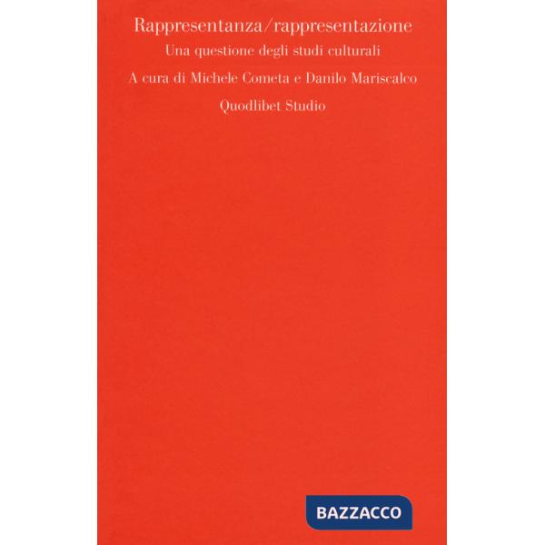 Rappresentanza-rappresentazione. Una questione degli studi culturali