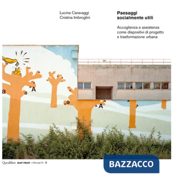 Paesaggi socialmente utili. Accoglienza e assistenza come dispositivi di progetto e trasformazione urbana. Ediz. illustrata