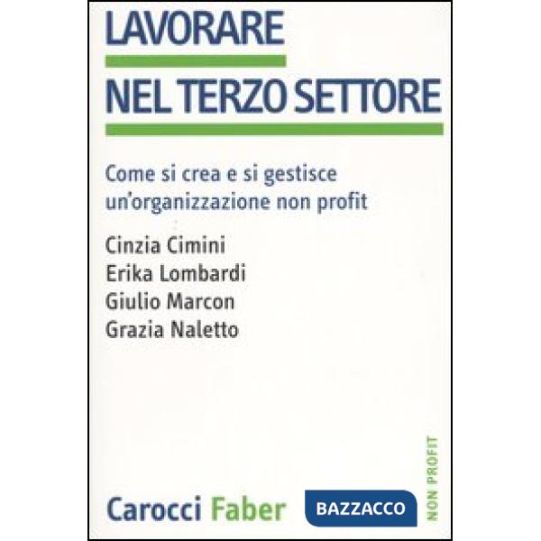 Lavorare nel terzo settore. Come si crea e si gestisce un'organizzazione non pro