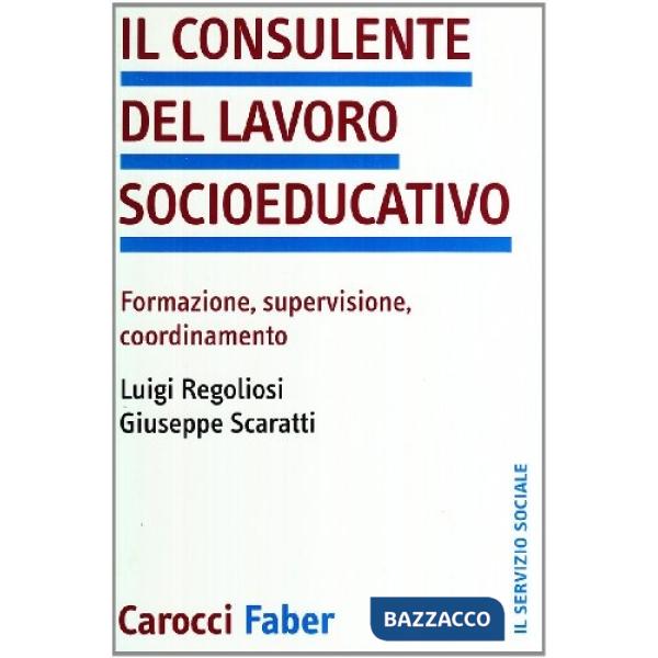 Consulente del lavoro socio-educativo (Il)