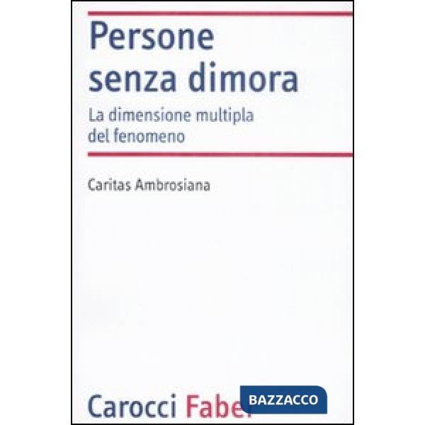 Persone senza dimora. La dimensione multipla del fenomeno (Le)