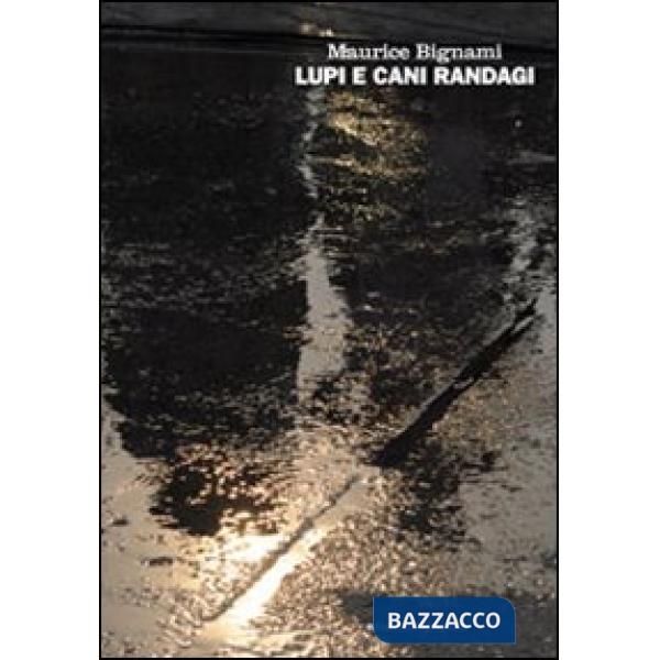 Lupi e cani randagi