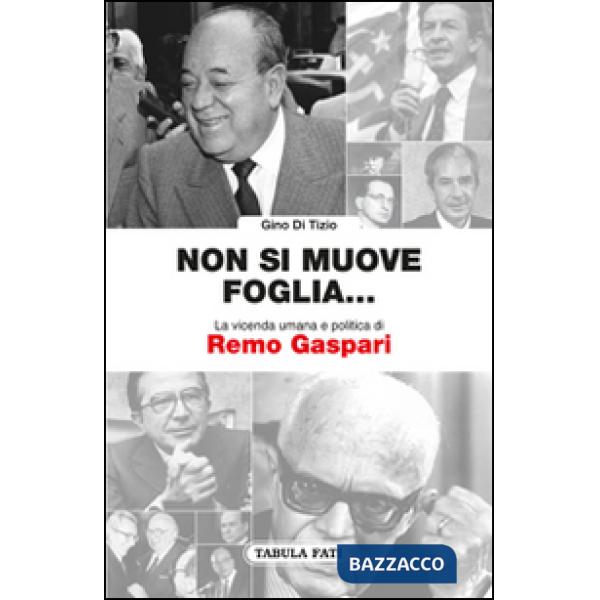 Non si muove una foglia... La vicenda umana e politica di Remo Gaspari