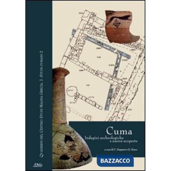 Cuma. Indagini archeologiche e nuove scoperte. Atti della Giornata di studi (Napoli, 12 dicembre 2007). Con tavole