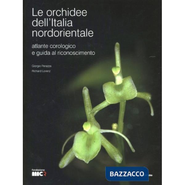 Orchidee dell'Italia nordorientale. Atlante corologico e guida al riconoscimento