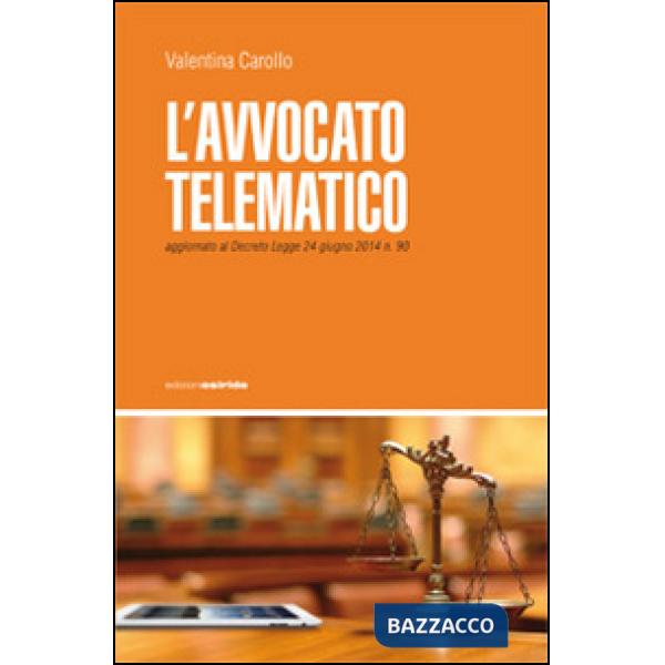 Avvocato telematico (L')