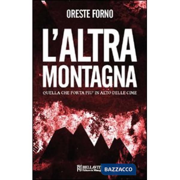 Altra montagna. Quella che porta più in alto delle cime (L')