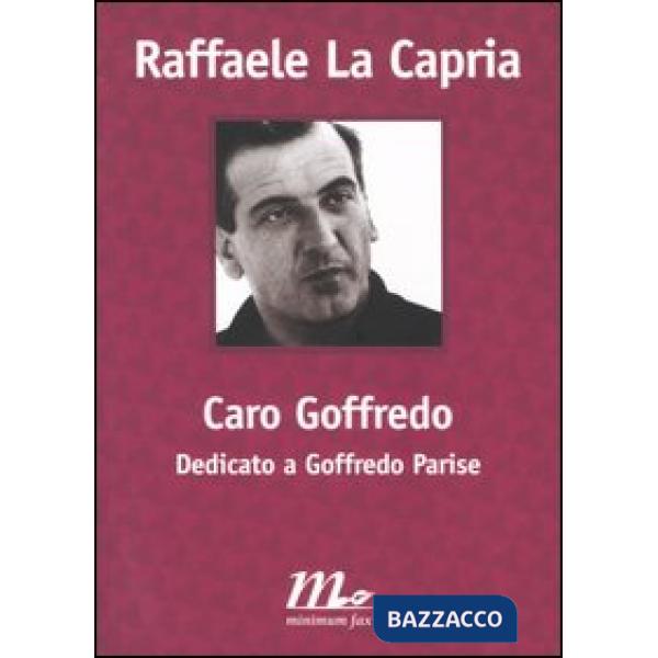 Caro Goffredo. Dedicato a Goffredo Parise