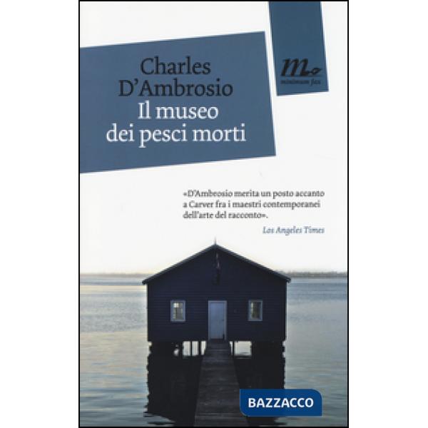 Museo dei pesci morti (Il)
