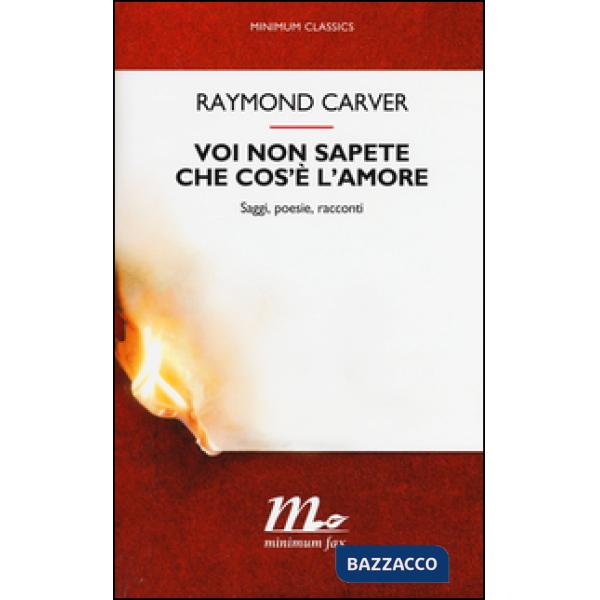 Voi non sapete che cos'è l'amore. Saggi, poesie, racconti