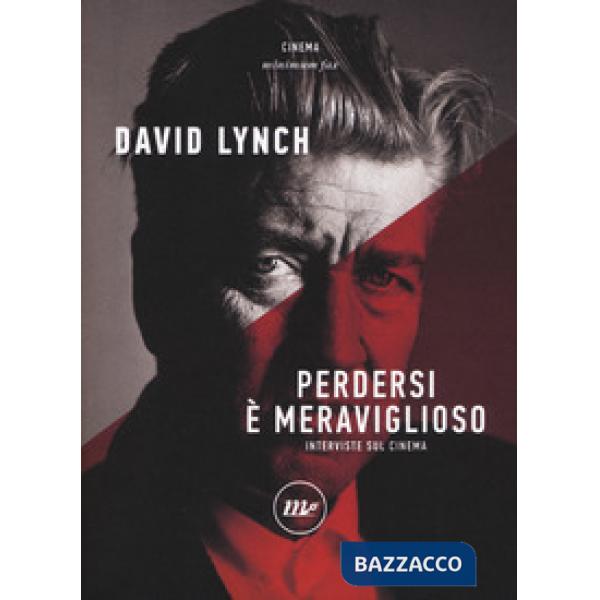 Perdersi è meraviglioso. Interviste sul cinema