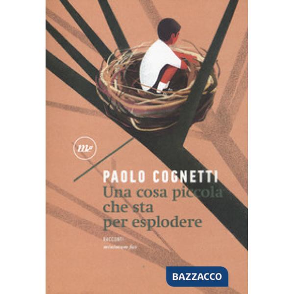 Cosa piccola che sta per esplodere (Una)