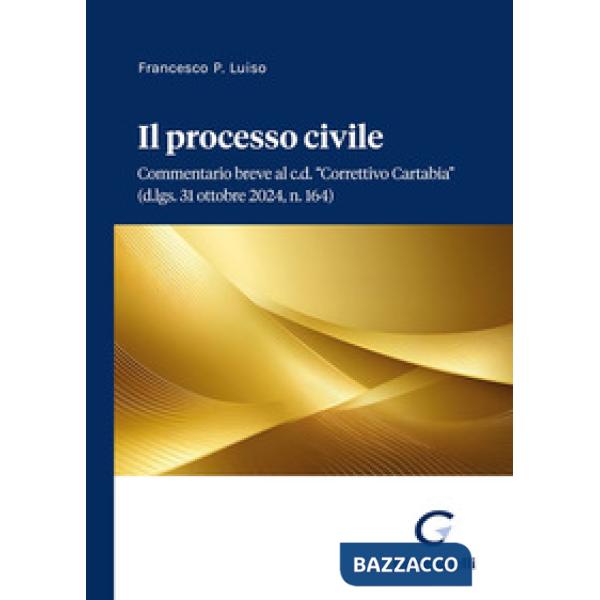 Il processo civile