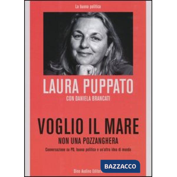 Voglio il mare non una pozzanghera. Conversazioni su PD, buona politicca e un'al