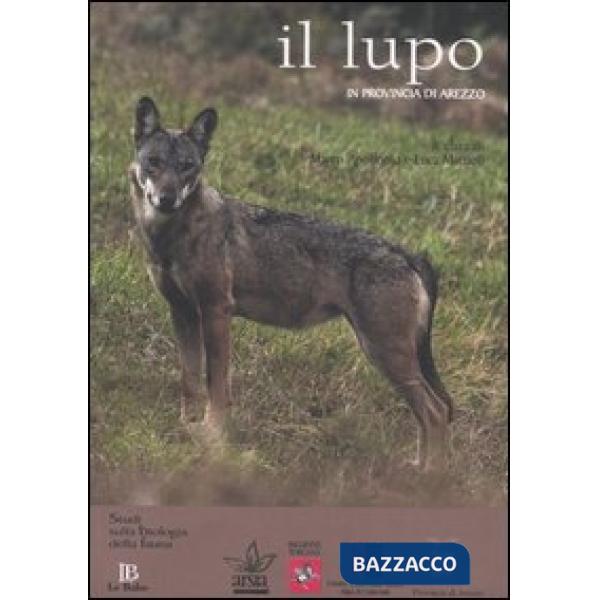 Lupo in provincia di Arezzo (Il)