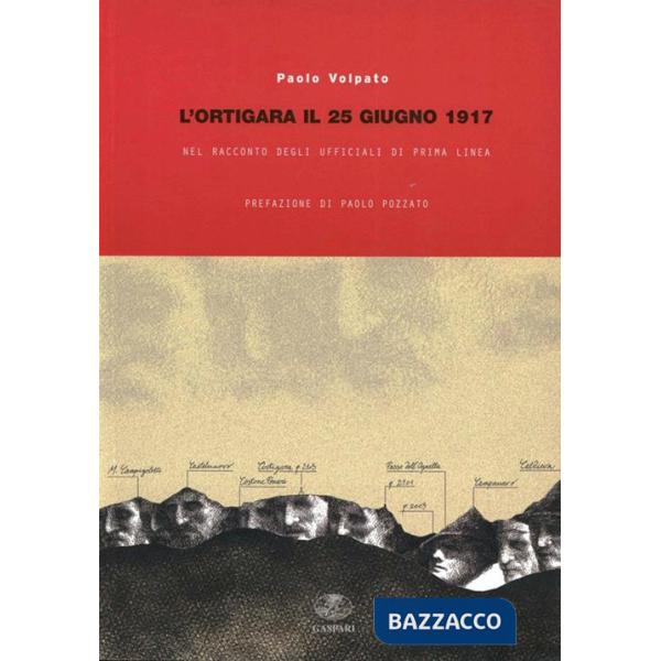 Ortigara il 25 giugno 1917 nel racconto degli ufficiali di prima linea. Ediz. illustrata (L')