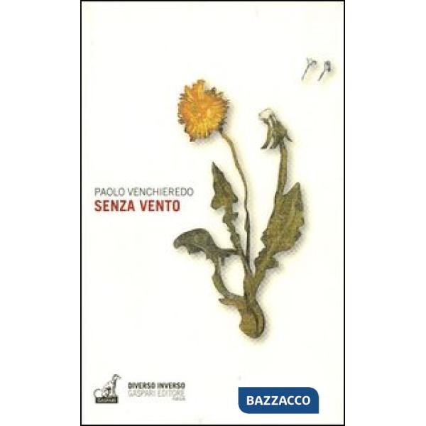 Senza vento