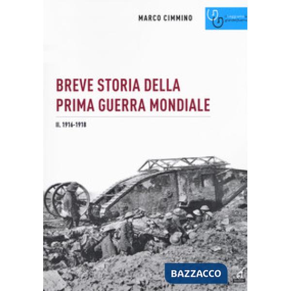 Breve storia della prima guerra mondiale. Vol. 2: 1916-1918