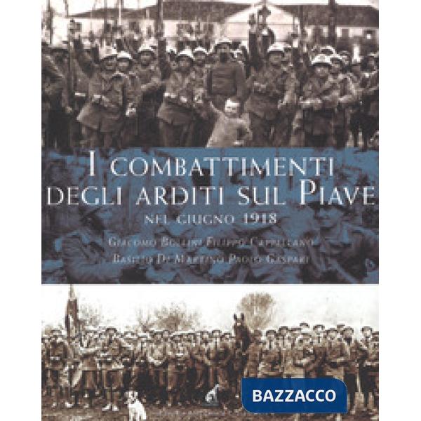Combattimenti degli Arditi sul Piave e sul Grappa (I)