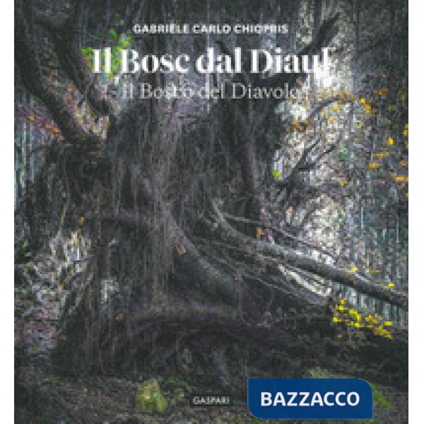 Bosc dal diaul. Il bosco del diavolo. Ediz. a colori (Il)