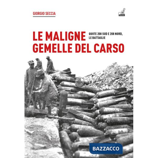 Maligne gemelle del Carso. Quote 208 Sud e 208 Nord, le battaglie (Le)