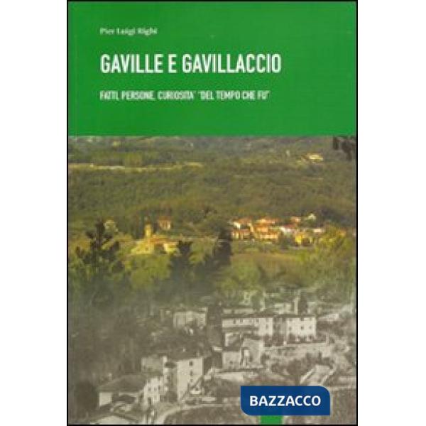 Gaville e Gavillaccio. Fatti, persone, curiosità del «tempo che fu»