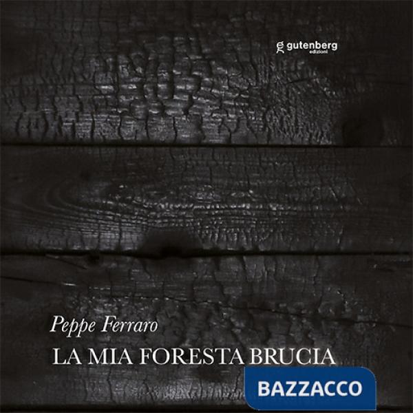Mia foresta brucia. Peppe Ferraro (La)