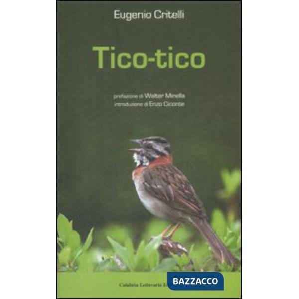 Tico-tico