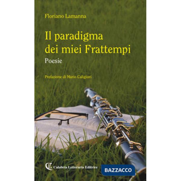 Paradigma dei miei frattempi (Il)