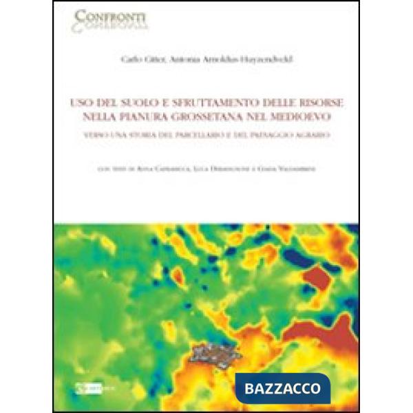 Uso del suolo e sfruttamento delle risorse nella pianura grossetana nel Medioevo. Verso una storia del parcellario e del paesagg