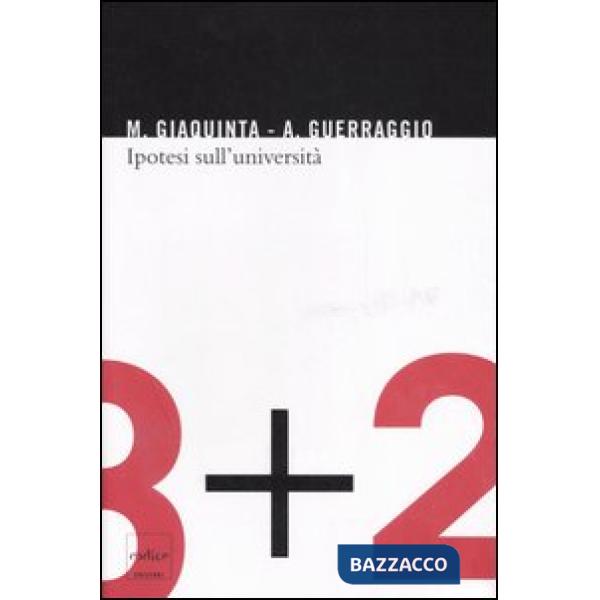 Ipotesi sull'università