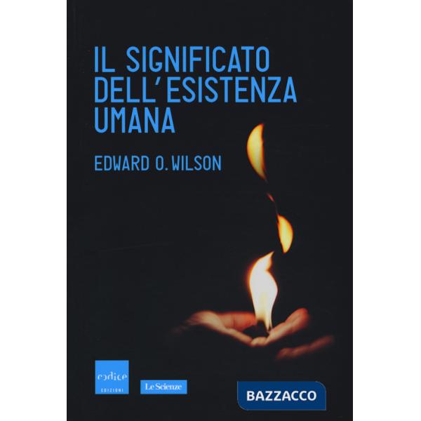 Significato dell'esistenza umana (Il)
